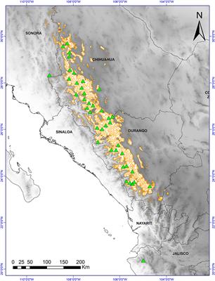 Assessment and Models of Insect Damage to Cones and Seeds of Pinus strobiformis in the Sierra <mark class="highlighted">Madre</mark> Occidental, Mexico